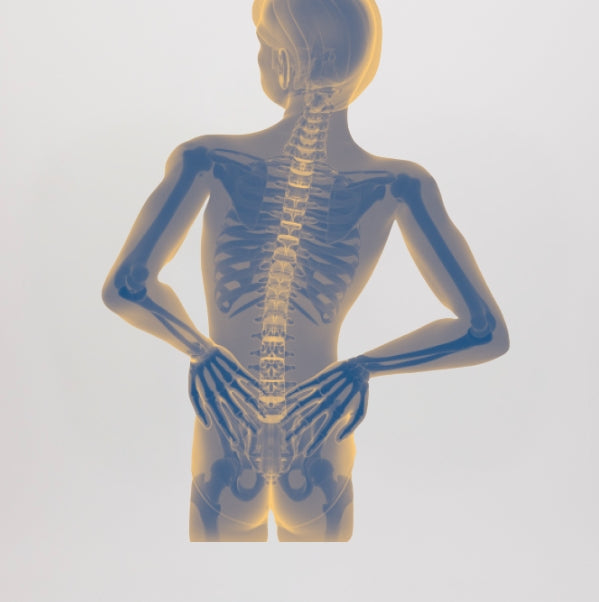 Rückengesundheit